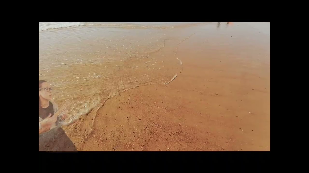 🌊 Souvenir de vacances en musique, montage de 2024