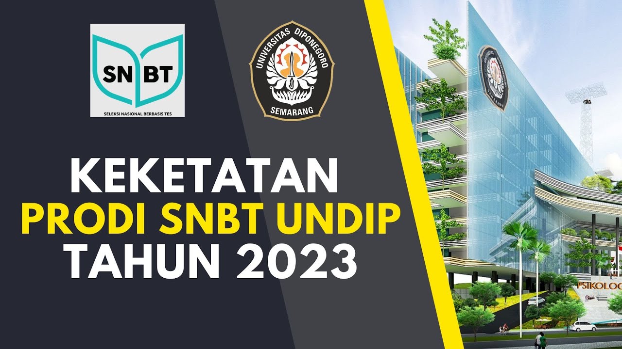 KEKETATAN PRODI JALUR SNBT UNIVERSITAS DIPONEGORO UNDIP TAHUN 2023