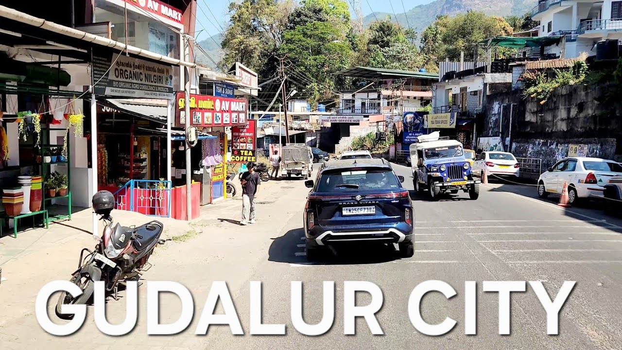 Drive through GUDALUR City #nilgiris #tamilnadu #gudallur #drivethrough #citytour