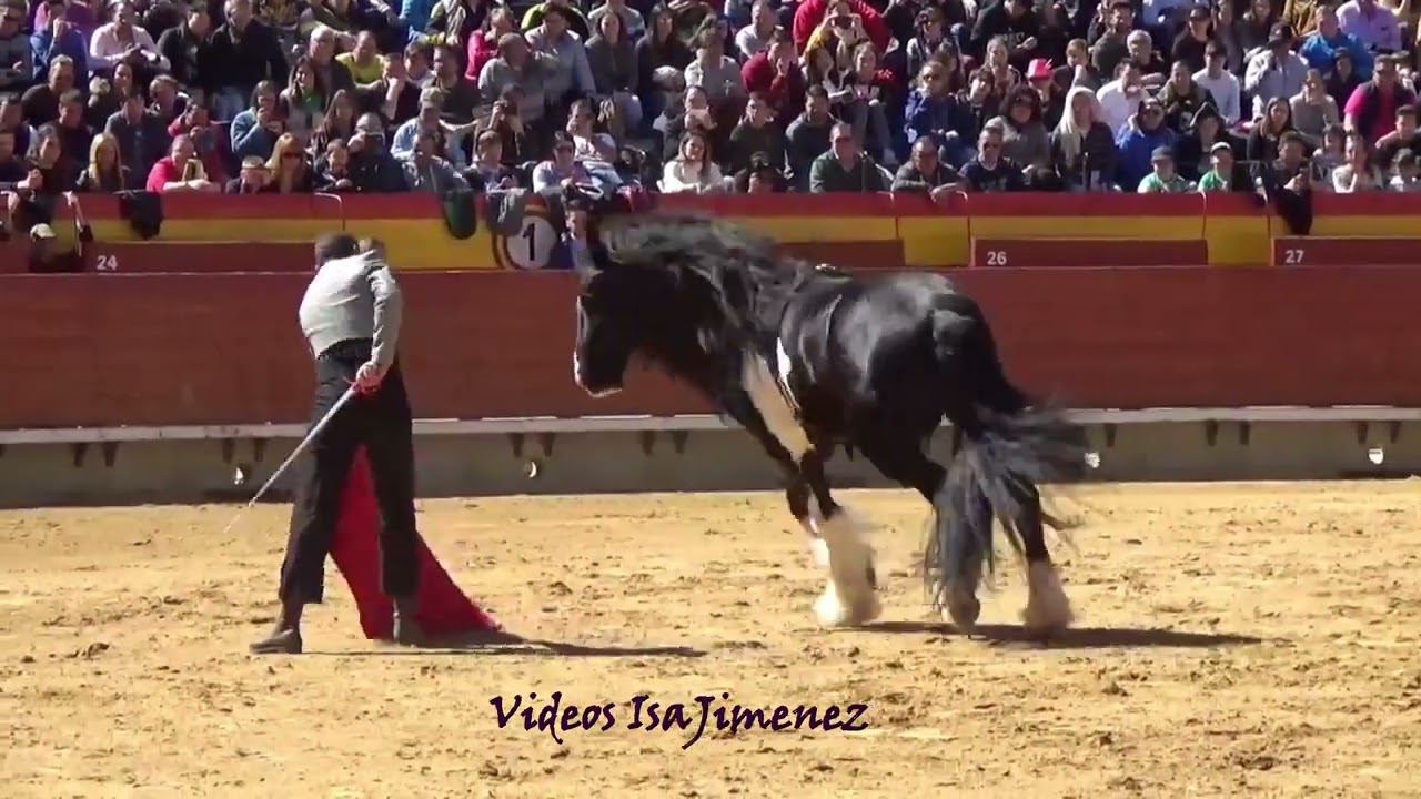 Javier García con Dandy en Castellón 
