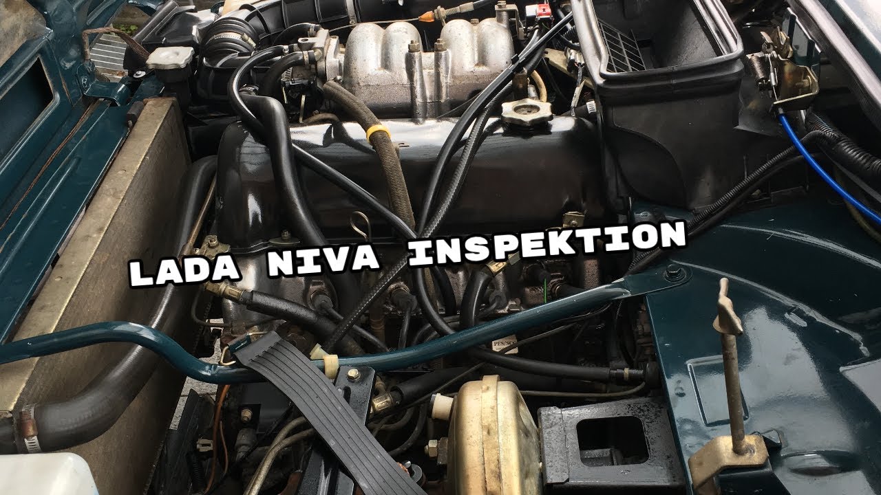 Lada Niva Inspektion a la Waldemar.