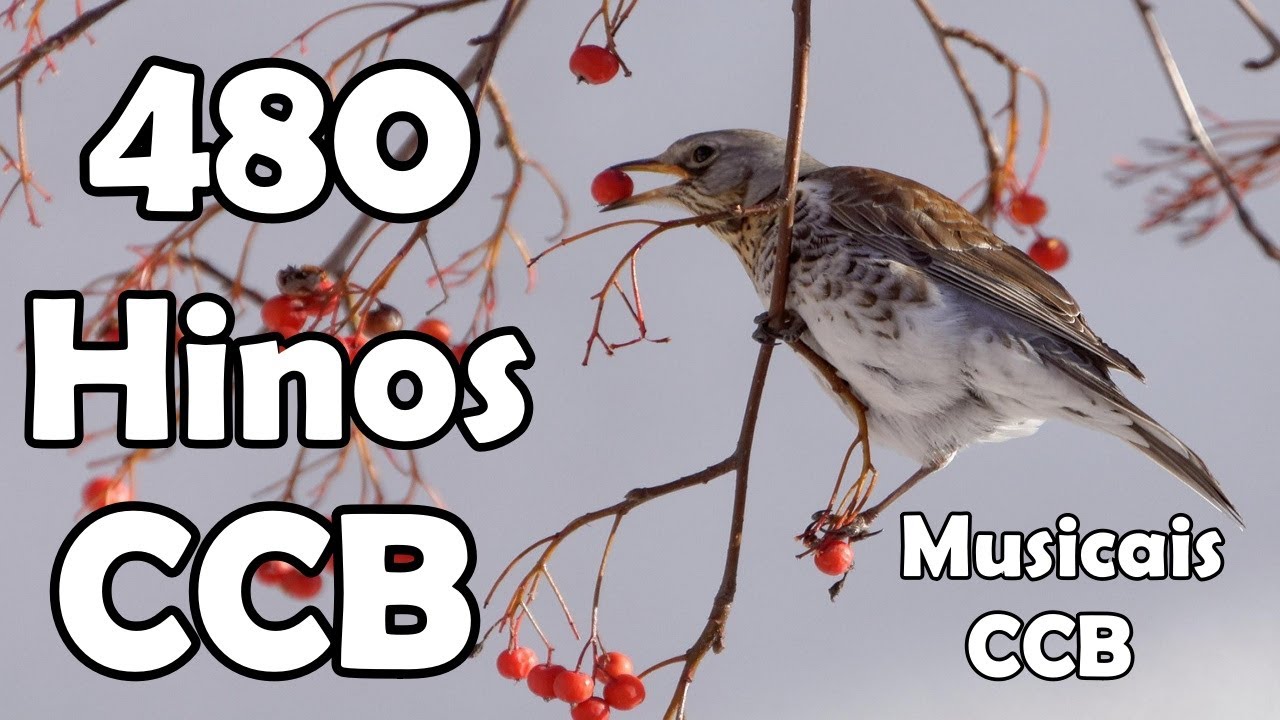 480 Hinos Cantados CCB - 1,2,3,4,5,6,7,8,9,10,11,12,13,14,15,16,17,18,19,20,21... - Musicais CCB