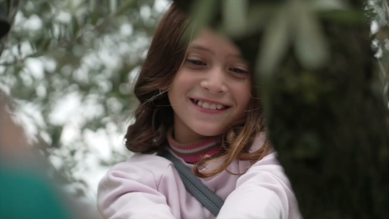 Frantoi Aperti®  in Umbria 2025 videoracconto del 3° fine settimana / 1° e 2 novembre 2025