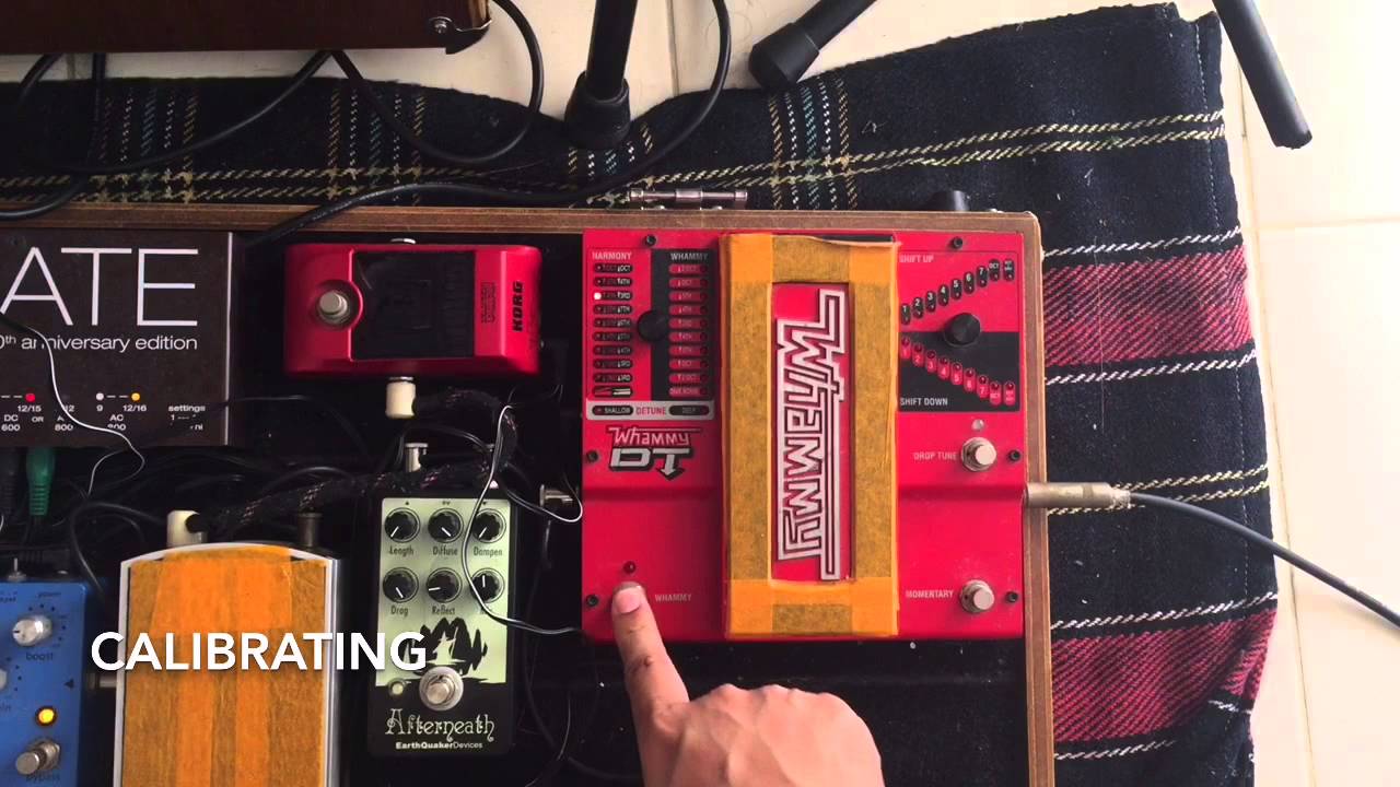 Calibrating Whammy DT