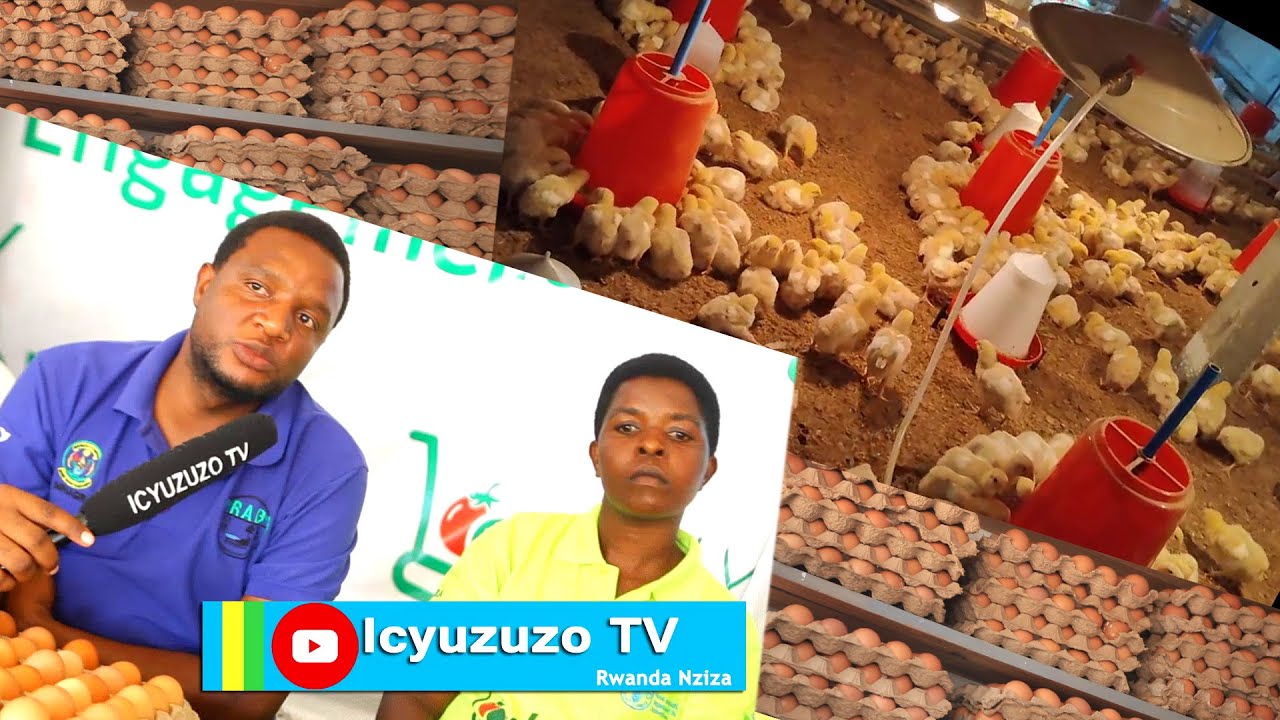 Bugesera:waruziko ubworozi w'inkoko bwatuma ureka akandi kazi wakoraga?Uyu mworozi abivuga neza