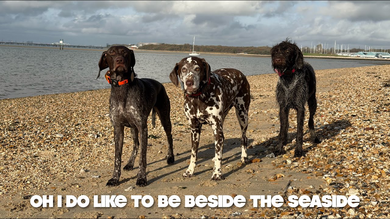 Oh I Do Like To Be Beside The Seaside