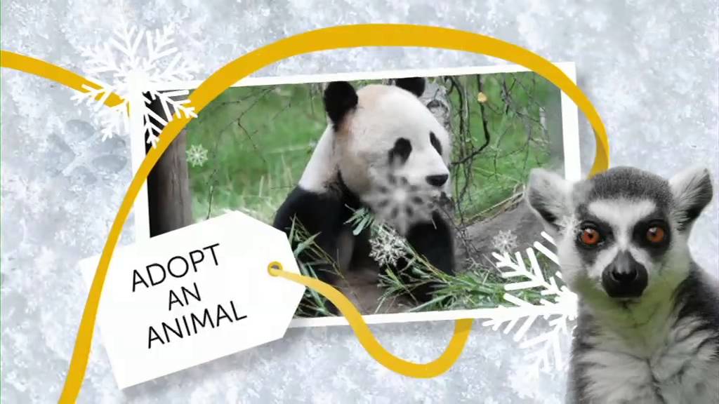 RZSS Edinburgh Zoo - Great Gifts for a Good Cause