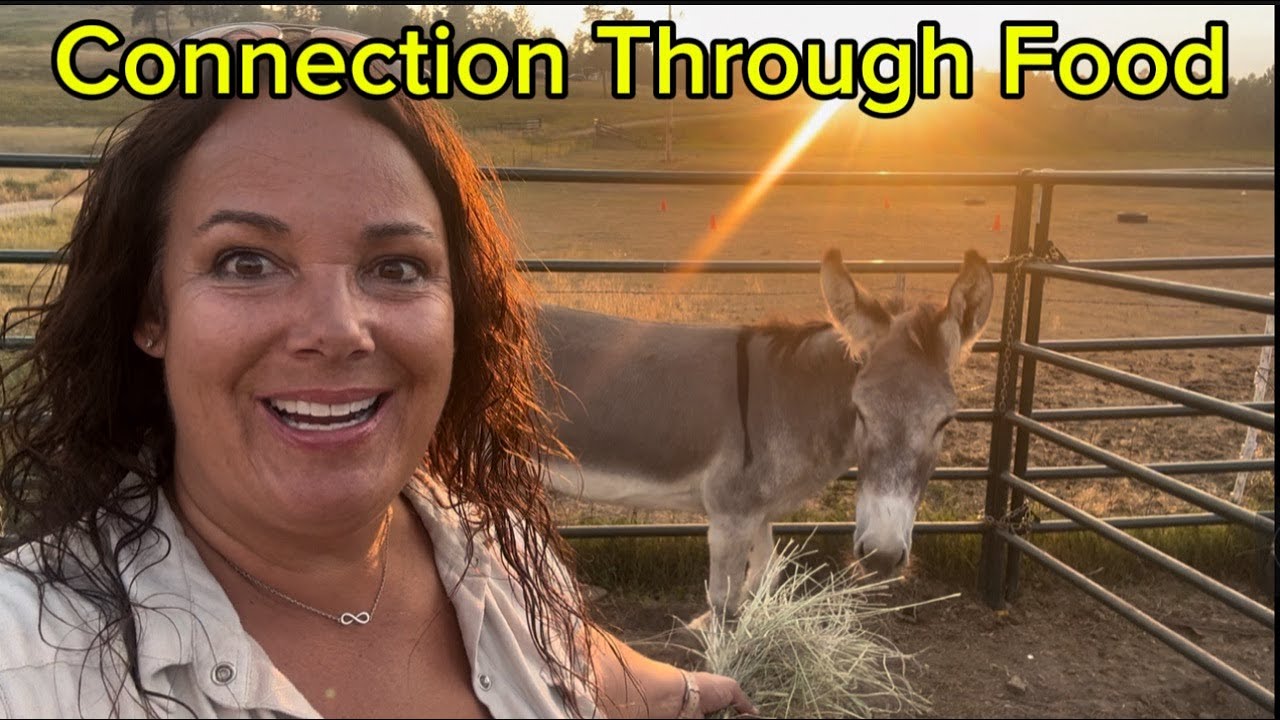 Beginning Steps Gentling Wild Donkeys | Training Wild Burros