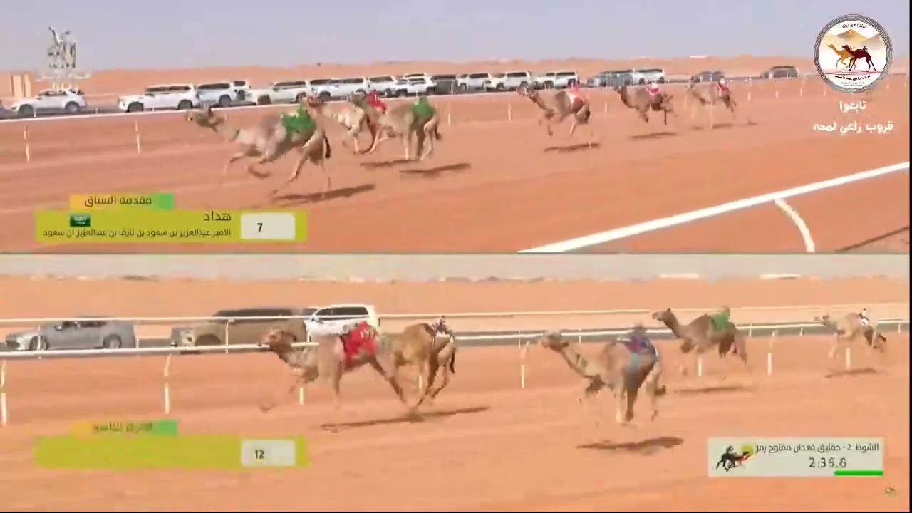 الشوط 2 (رمز قعدان مفتوح )مواجه لـ سيف سهيل نخيره العفاري 5:51:25