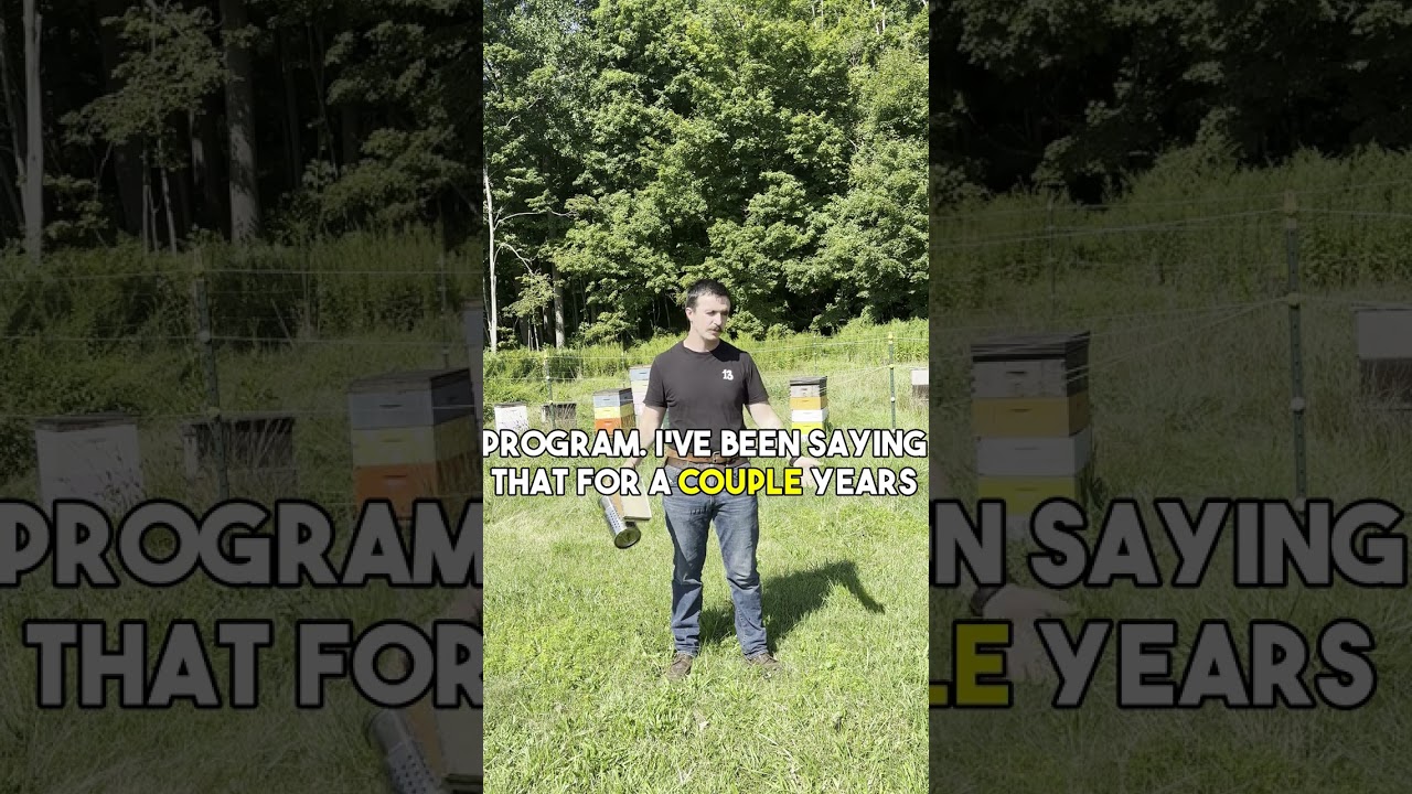 A Clip from Last week Free demo