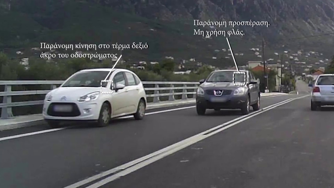 Ζώα στους δρόμους 3