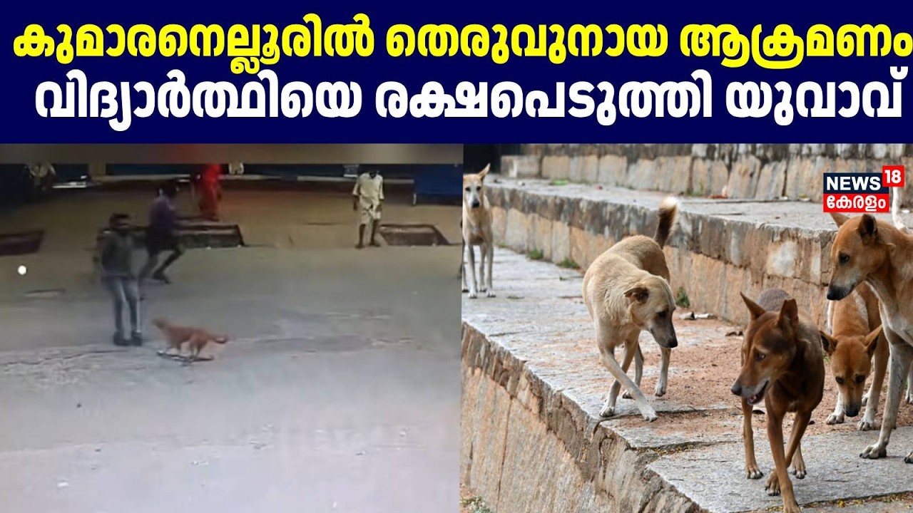 Kumaranellurൽ  തെരുവുനായ ആക്രമണം; വിദ്യാർത്ഥിയെ രക്ഷപെടുത്തി യുവാവ് | Palakkad Stray Dog Attack