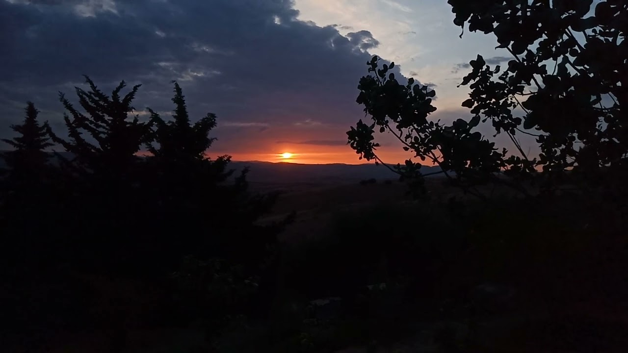 Sunset237