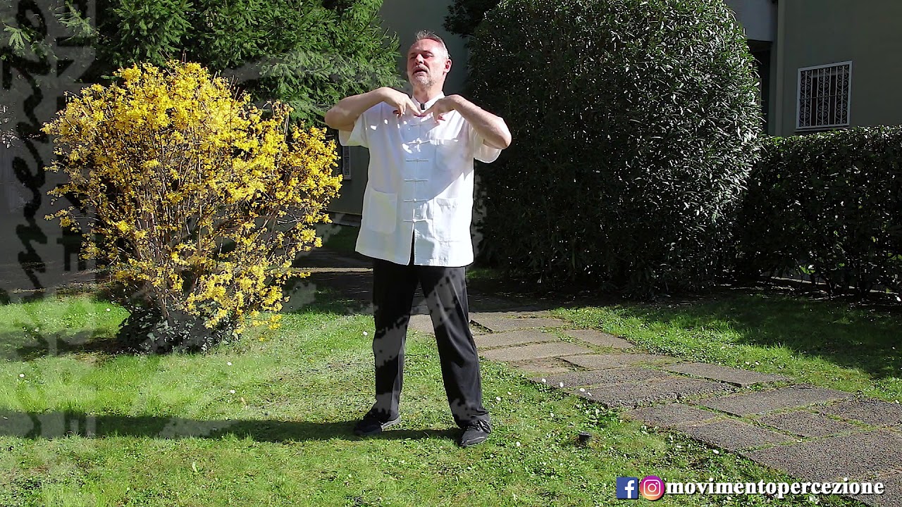 QIGONG 17 – MOBILITA' TRONCO E COLONNA VERTEBRALE