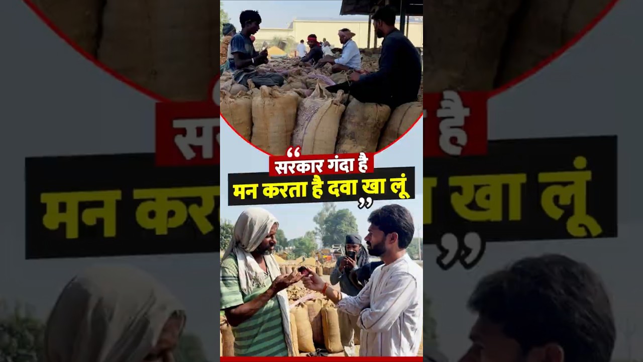 What Bihar Migrants Working in Punjab Said After Traveling 1500 km to Vote? #biharelections2025