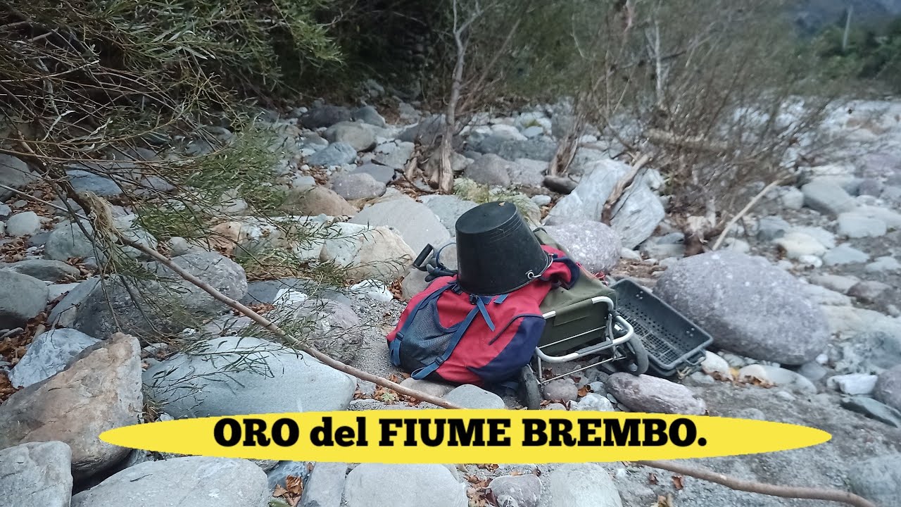 ORO DEL FIUME BREMBO. Ottobre 2023.