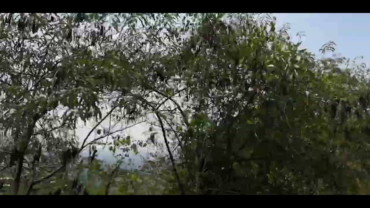 Ooty hills hearpin bend