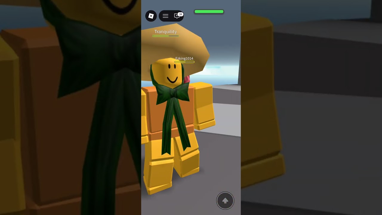 Me playing Natural disaster Survival 