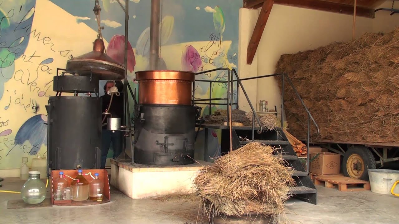 Ard&egrave;che - Musee de la Lavande