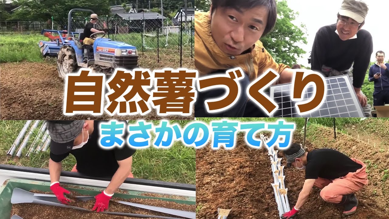 自然薯づくり、まさかの育て方…！！│ネオ農民