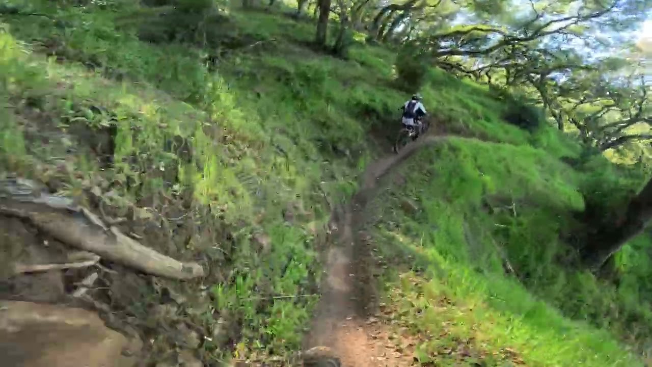 Skyline Park-Zane Trail-MTB 