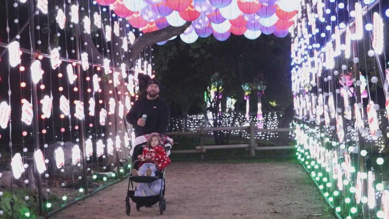'Bigger this year': What's new at Fresno Chaffee Zoo's IllumiNature nights?