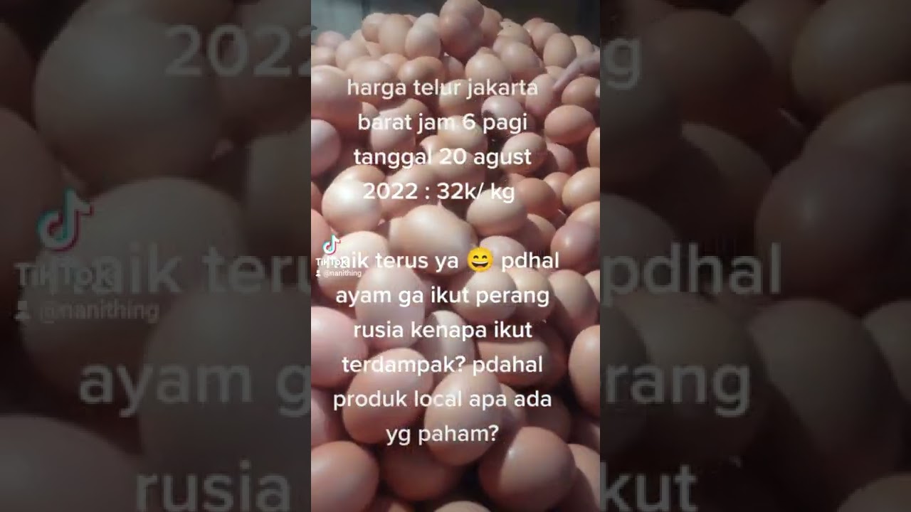 #hargatelur #hargatelurayam #hargatelurhariini #hargatelurayamrashariin#hargatelurayamhariini