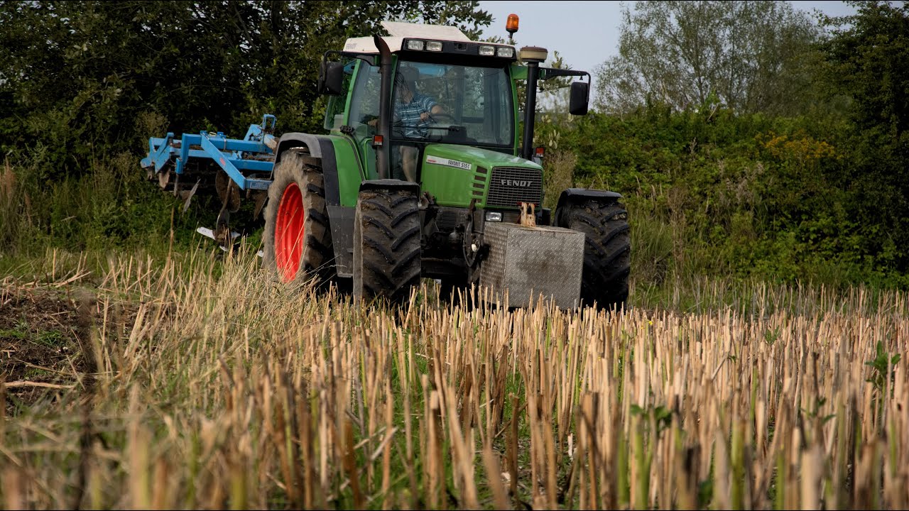 Gruberowanie rzepaczyska | Fendt Favorit 515c + Mandam KUS-T