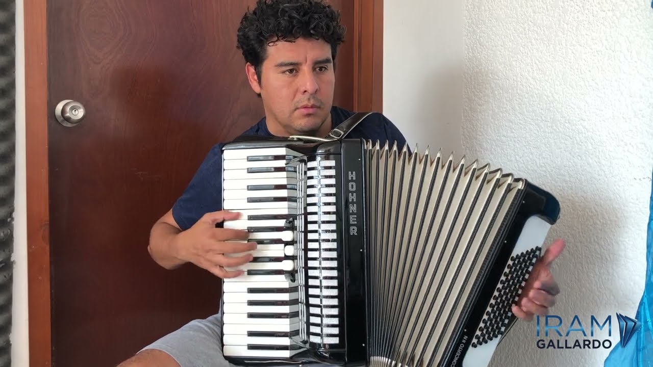 Acordeón Hohner Concerto II - En venta