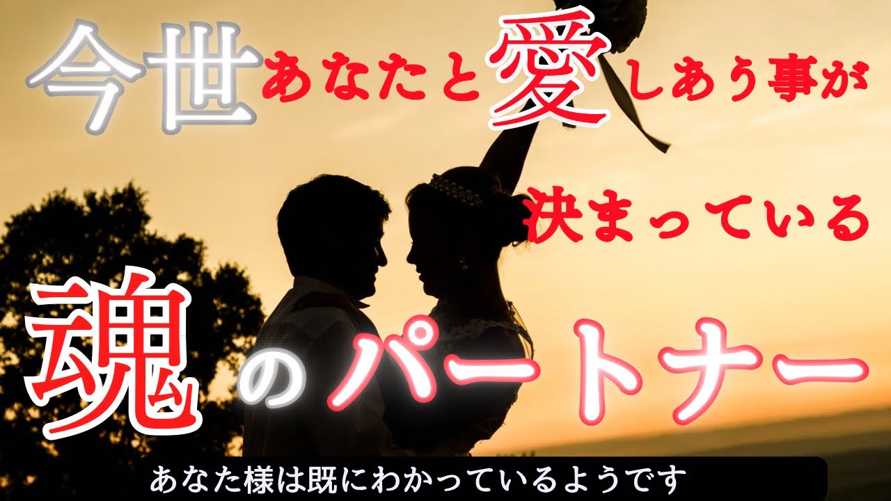 【別格の繋がり】リーディング内で絶句と感動どちらも味合わされました。必ず最後まで見てください💖 〔ツインレイ🔯霊感霊視🔮サイキックリーディング〕