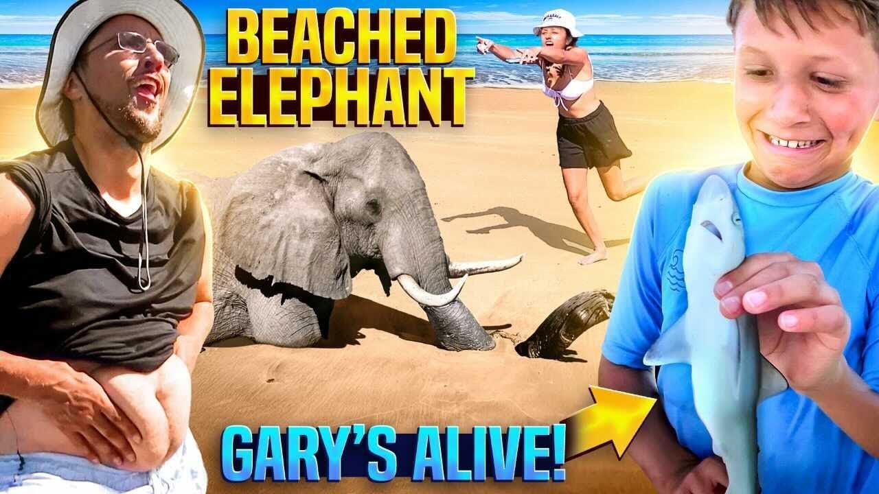 Gary the Shark is Back! + Music Video 🎵 (FV Family Capers Island Vlog)