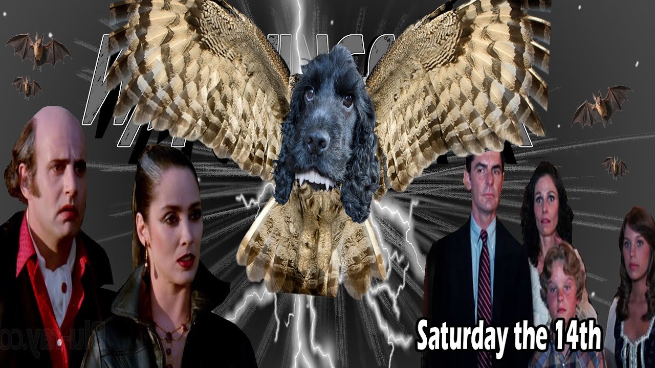 Watchings_hit presents Celluloid Cesspit: Saturday the 14th