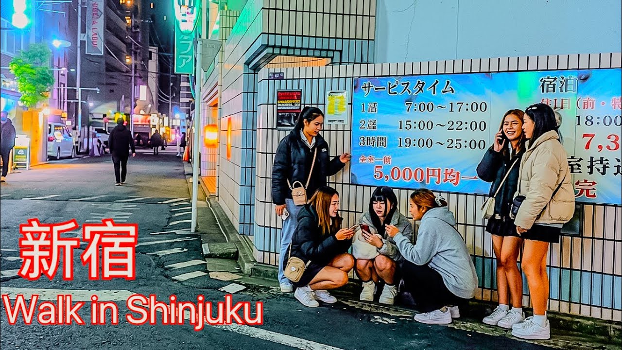 Tokyo Wild Night Kabukicho Love Hotel Street 
