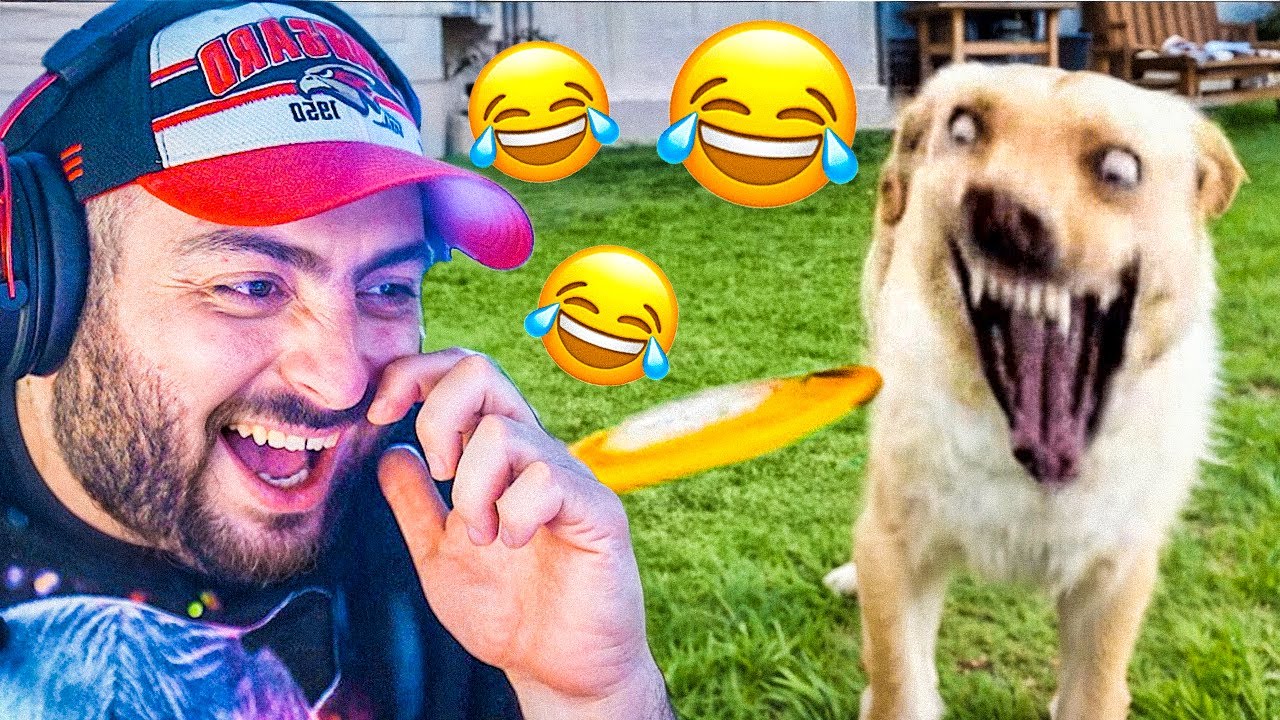 ՆԱՅՈՒՄ ԵՆՔ ԼԻՔԸ ԽՆԴԱԼՈՒ ՎԻԴԵՈՆԵՐ🤣@Saint-HovReacts