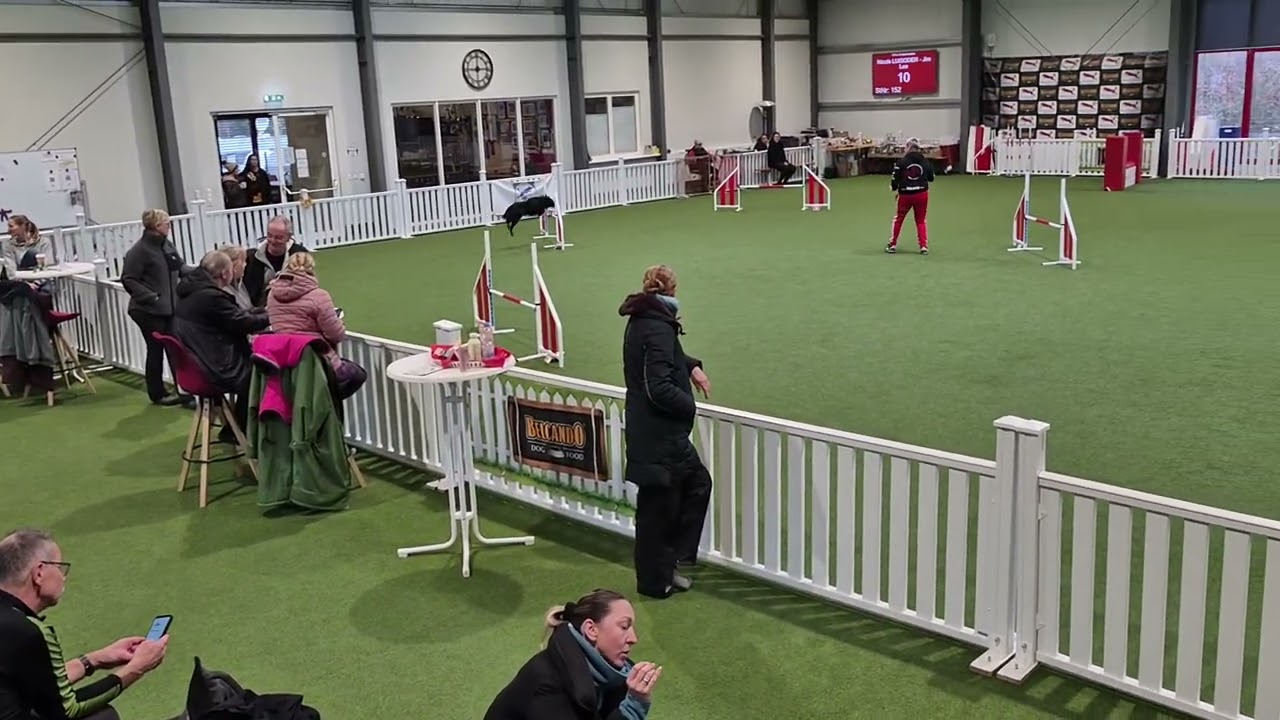 Turnier Westerwald, 14 12 25, Jim, J3, 0 Fehler Platz 4 mit großem Bogen