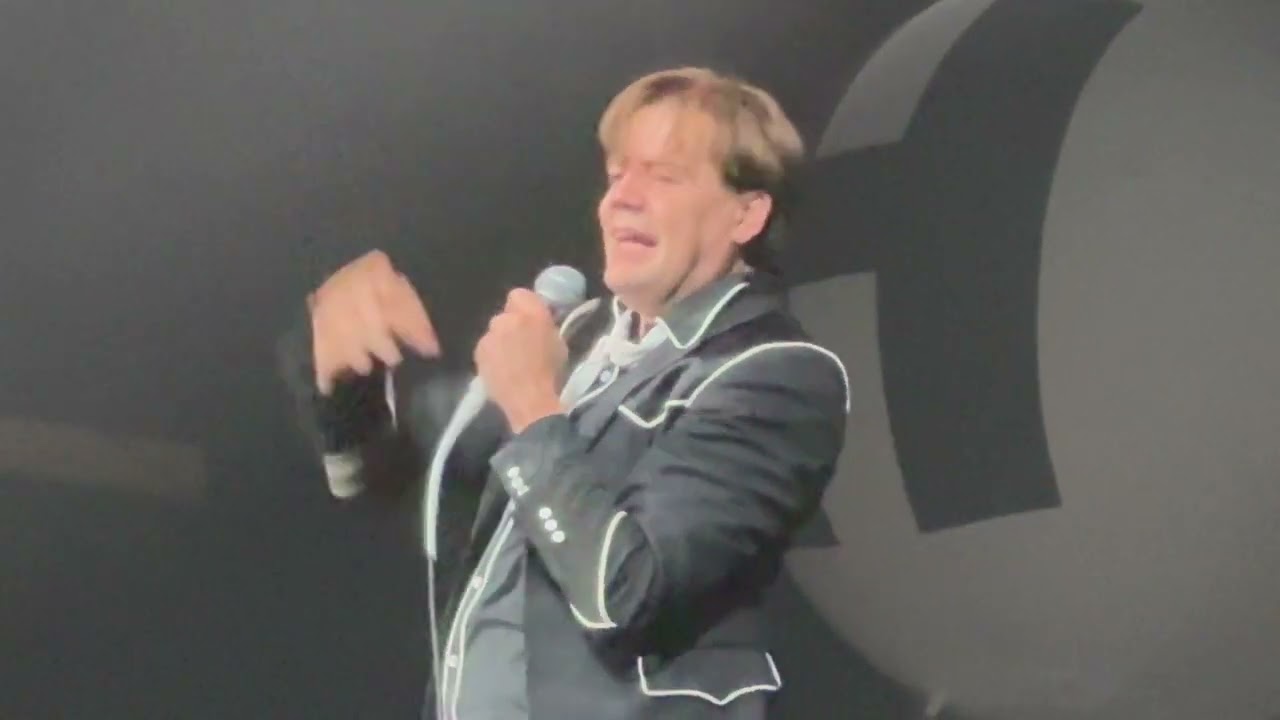 THE HIVES forever...[LIVE]