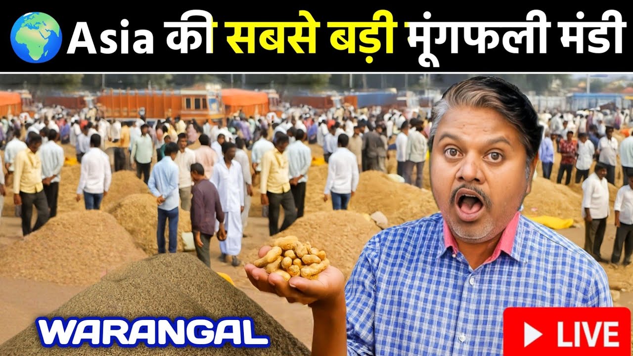 🌍 Asia की 2nd सबसे बड़ी मूंगफली मंडी | तेलंगाना Warangal Groundnut Market 🔥|| Omprakash ausar