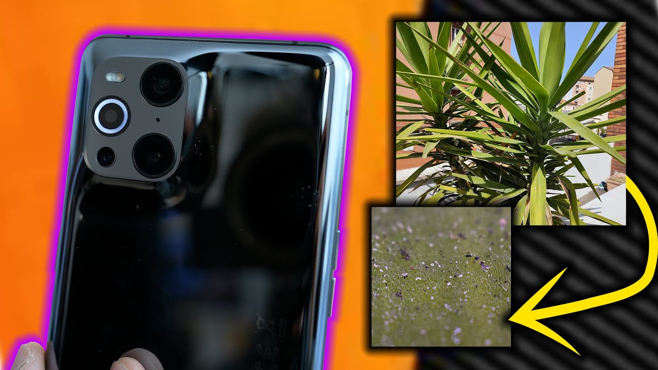 LO SMARTPHONE COL MICROSCOPIO!