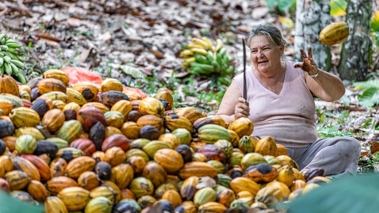 SONINHA DO FÓRUM / MINHA MÃE - AMARGORA -AGRICULTURA DA BAHIA