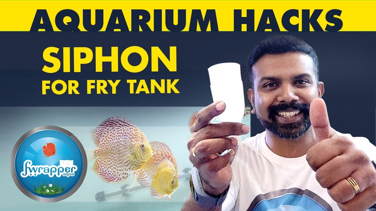 Aquarium Hack - Siphon For Fry Tank