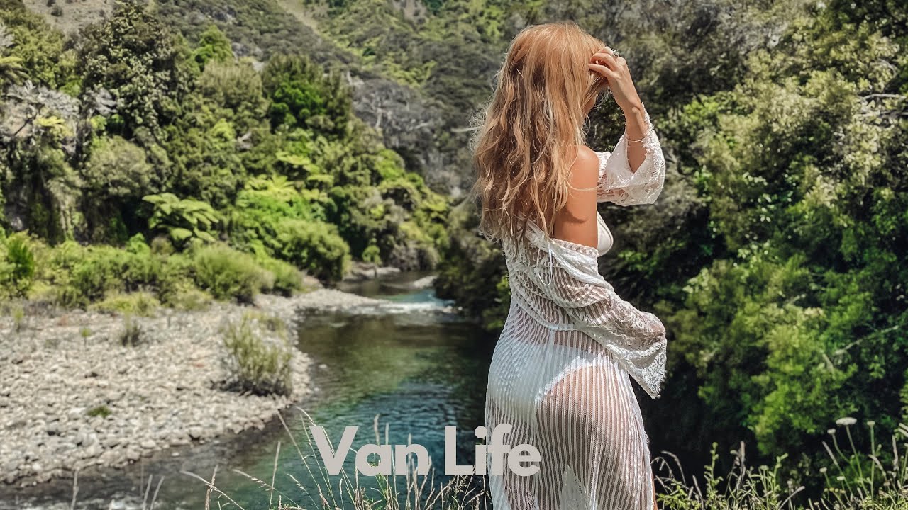 FREEDOM CAMPING with WILD SEAL COLONY!  |  Van Trip VLOG 4