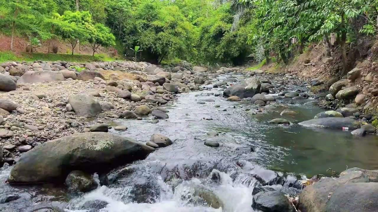 5 hours nonstop Tranquil Forest River Ambience for Meditation, Sleep & Inner Peace