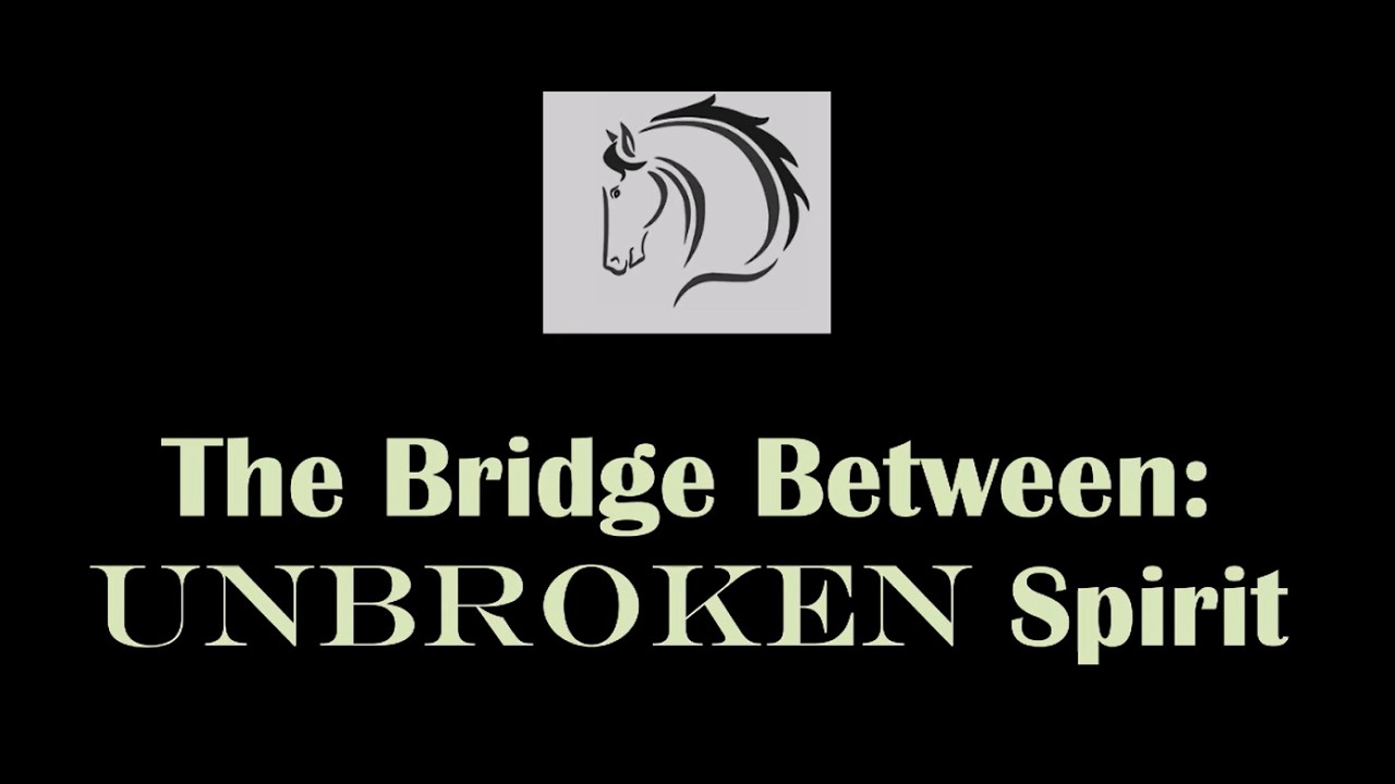 The Bridge Between Mini Documentary 2026