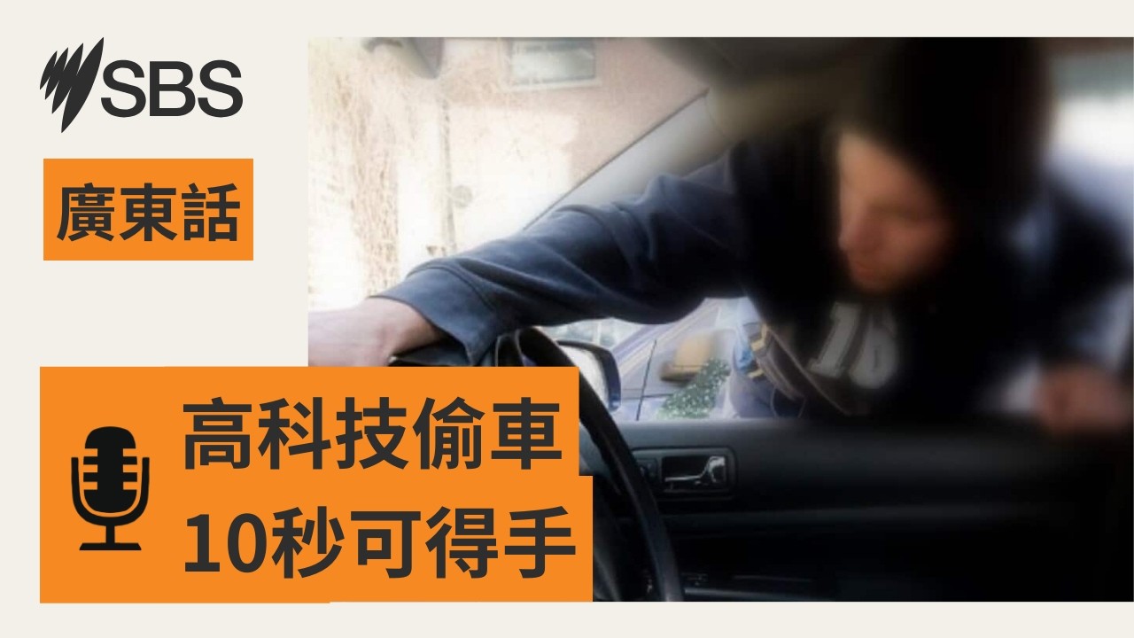 【10秒偷走一輛車】維州逾三成失車涉高科技犯案 | SBS Cantonese - SBS廣東話節目