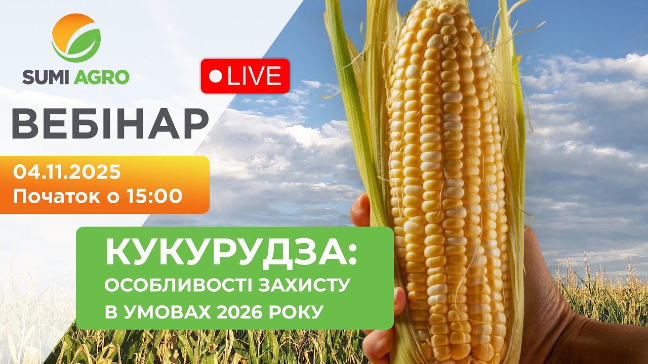 КУКУРУДЗА: ОСОБЛИВОСТІ ЗАХИСТУ В УМОВАХ 2026 РОКУ