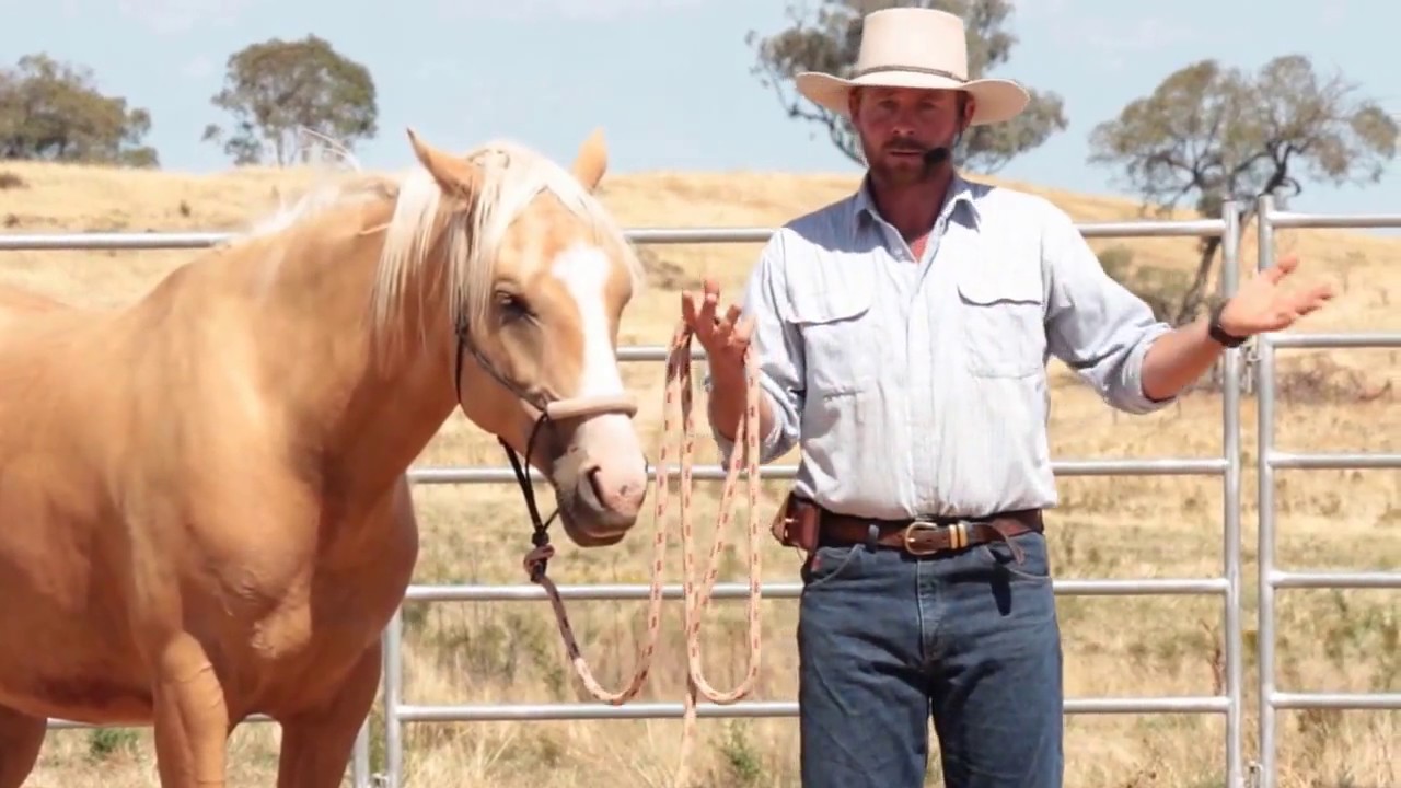 Mark Langley advice on horses with pinned ears