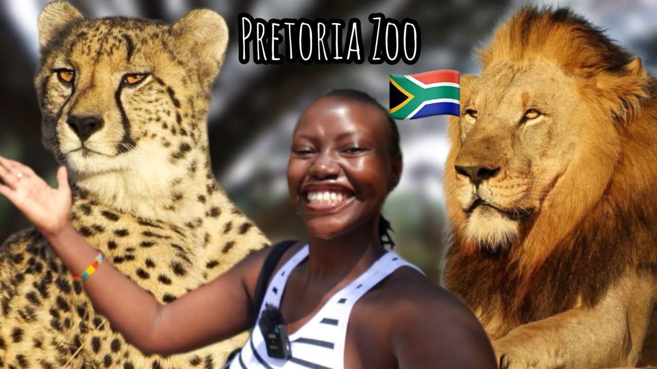 Exploring the Largest Zoo in South Africa (Pretoria Zoo). 🇿🇦