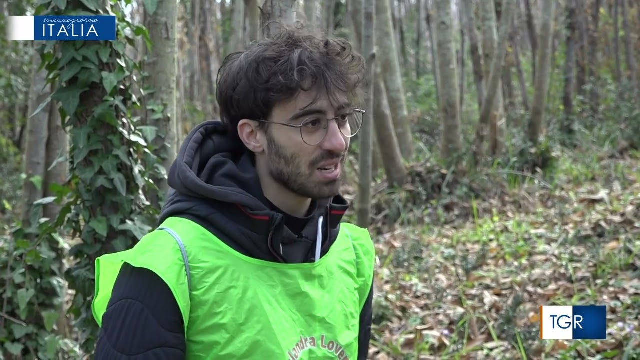 TGR Mezzogiorno Italia del 07 12 2024 Bosco della Salandra Marano(NA) RAI3