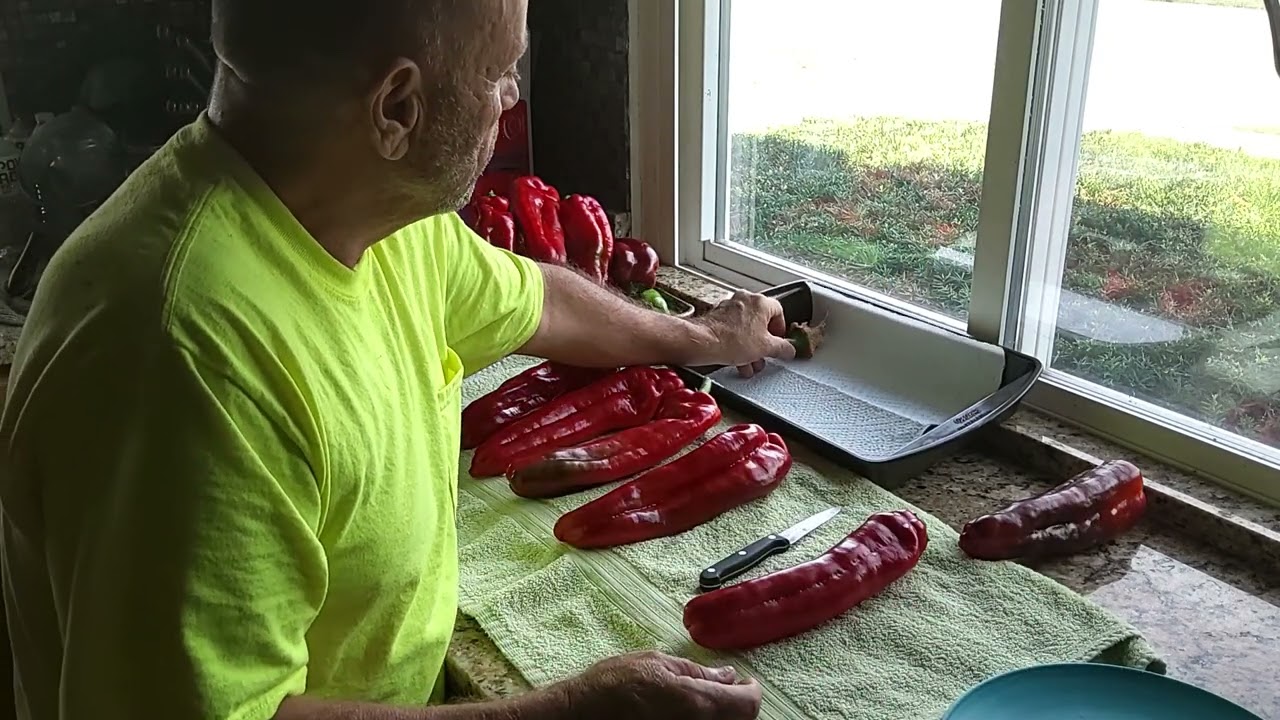 Saving giant marconi pepper seeds for next year's grow Sept 2022