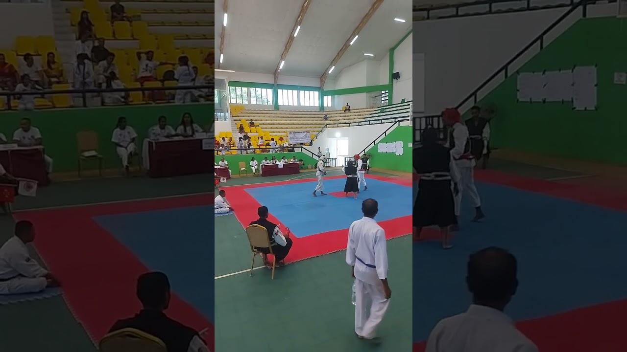 Shorinji Kempo Fight